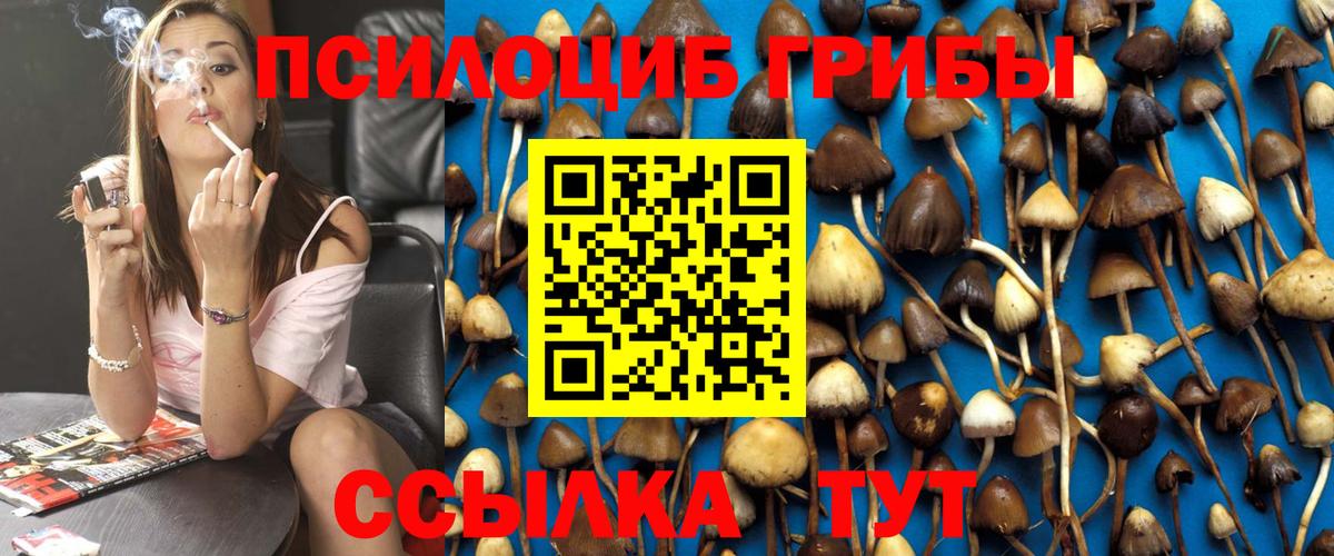 продажа наркотиков  Галлюциногенные грибы Cubensis  Вход с VPN  Саров 