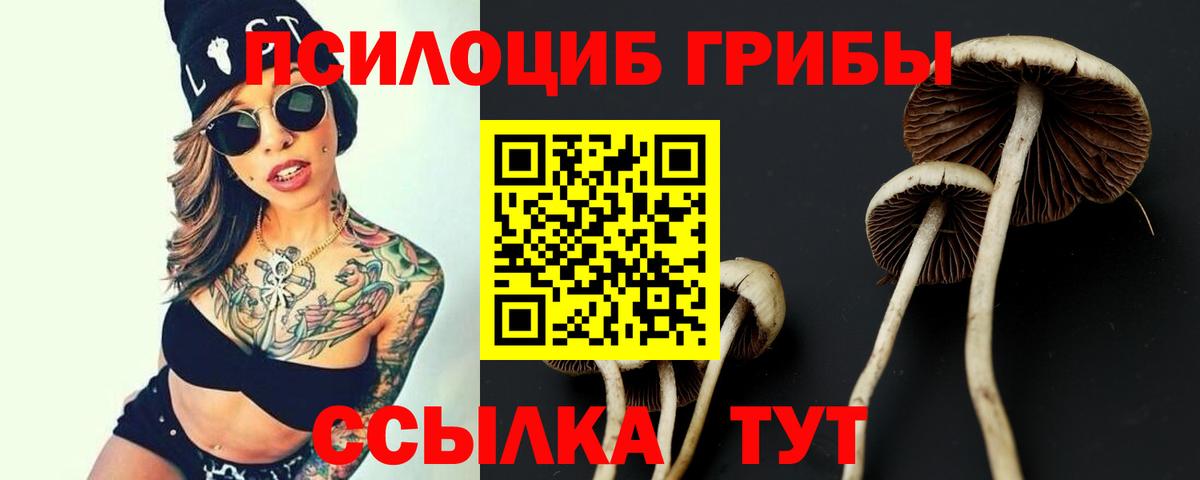 Псилоцибиновые грибы мицелий Саров